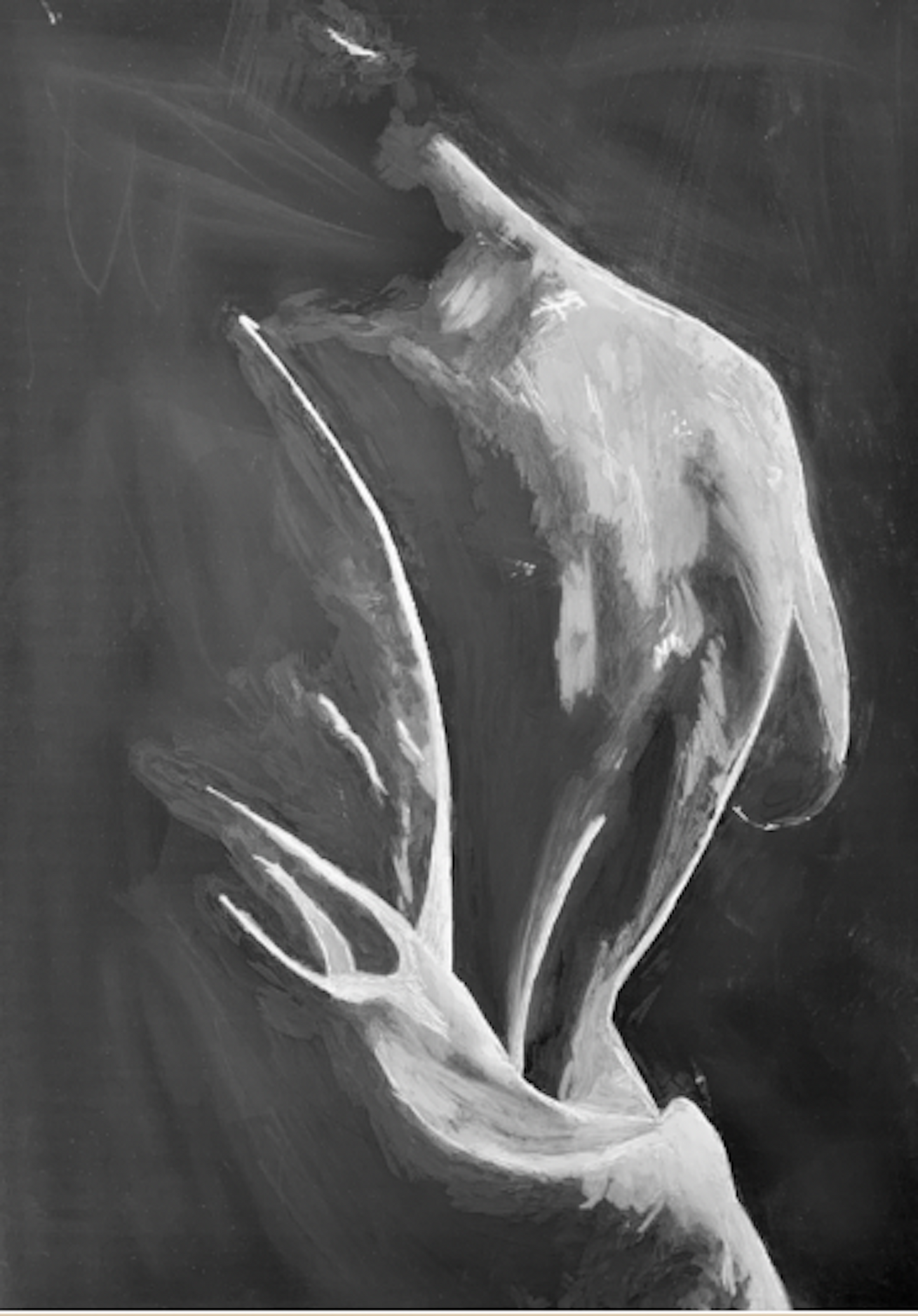 black_and_white_partial_nude_woman_portrait art print