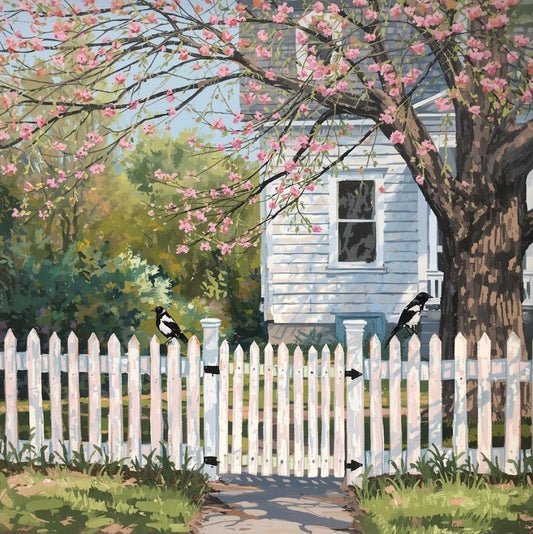 Painting of a white weatherboard house with Pink cherry blossoms and a white picket fence with two magpies on the fence art print.